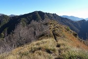 MONTE CORNO (1030 m) e PIZZO RABBIOSO (1151 m) da Salvarizza di San Pellegrino Terme (923 m) il 14 novembre 2017 - FOTOGALLERY